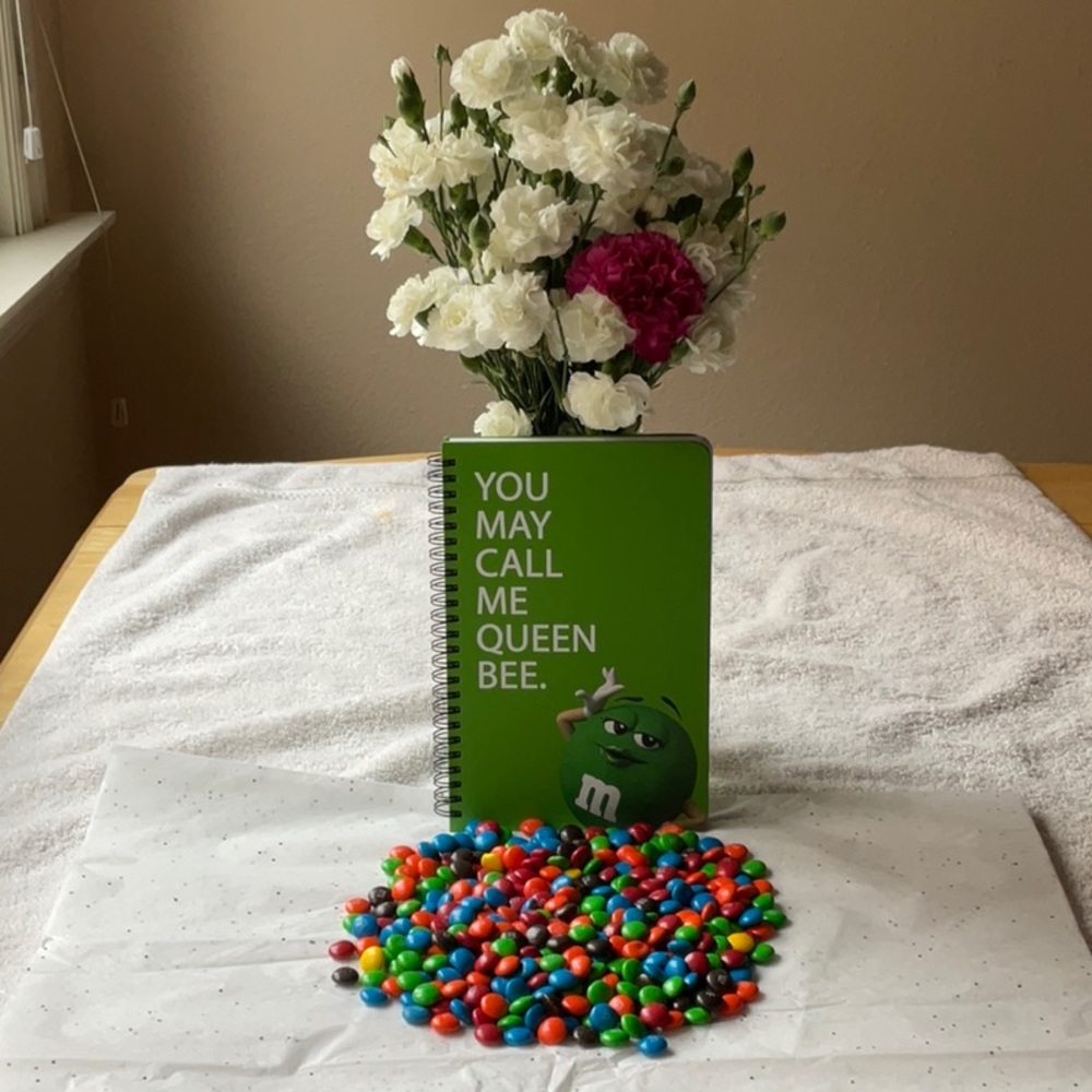 📗💙 M&M’S NOTEBOOK 📗💙 - Picture 10 of 16